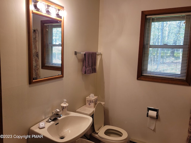 21 Cherry Ct, Clifton Township, PA 18424 - bathroom with a sink, plenty of natural light, and toilet
