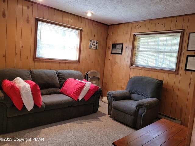 21 Cherry Ct, Clifton Township, PA 18424 - living area featuring plenty of natural light, carpet, a baseboard radiator, a textured ceiling, and wooden walls