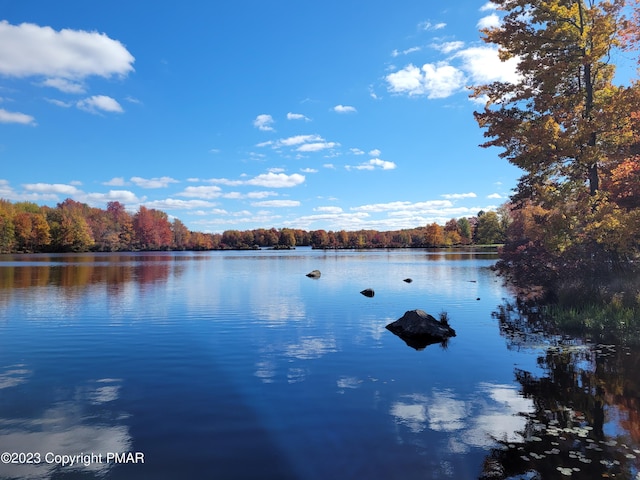 21 Cherry Ct, Clifton Township, PA 18424 - water view with a heavily wooded area