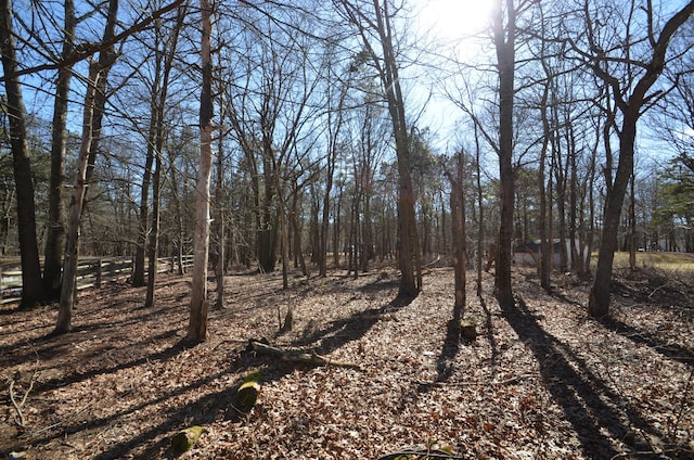 Stony Mountain Rd, Albrightsville, PA 18210