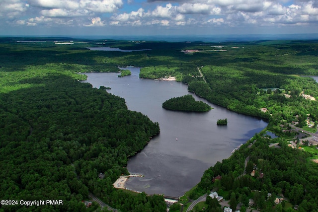 birds eye view of property with a water view and a forest view