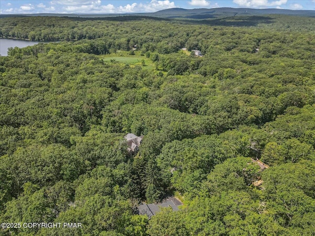 130 Surrey Dr, Lords Valley, PA 18428 - photo 50