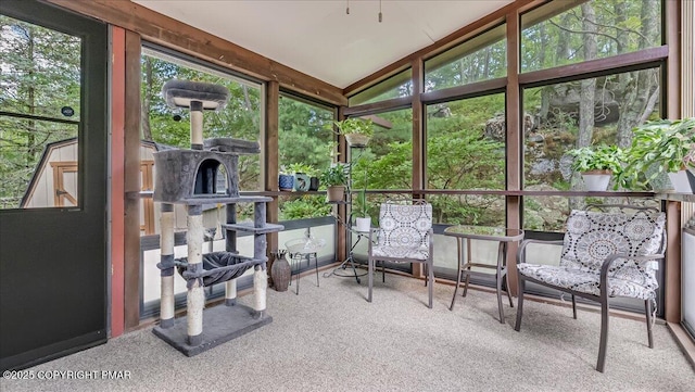 130 Surrey Dr, Lords Valley, PA 18428 - photo 37