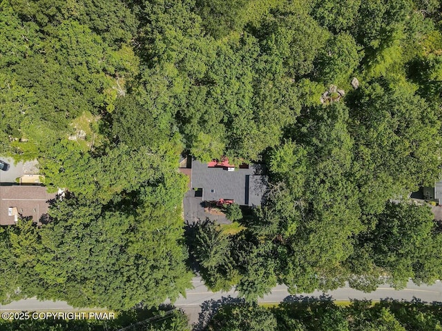 130 Surrey Dr, Lords Valley, PA 18428 - photo 48