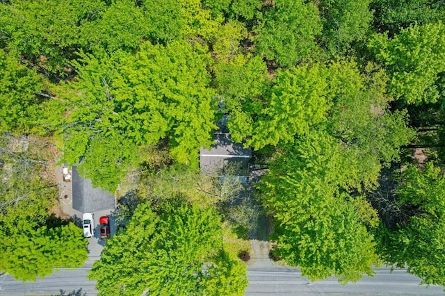206 Maxatawny Dr, Pocono Lake, PA 18347 - bird's eye view