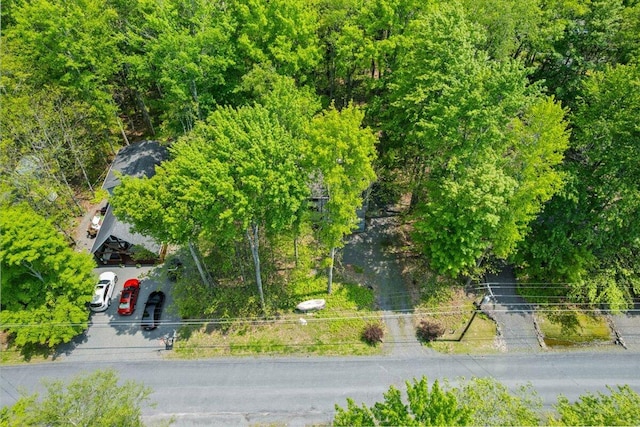 206 Maxatawny Dr, Pocono Lake, PA 18347 - drone / aerial view