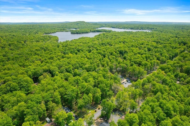 206 Maxatawny Dr, Pocono Lake, PA 18347 - bird's eye view of a heavily wooded area and a nearby body of water