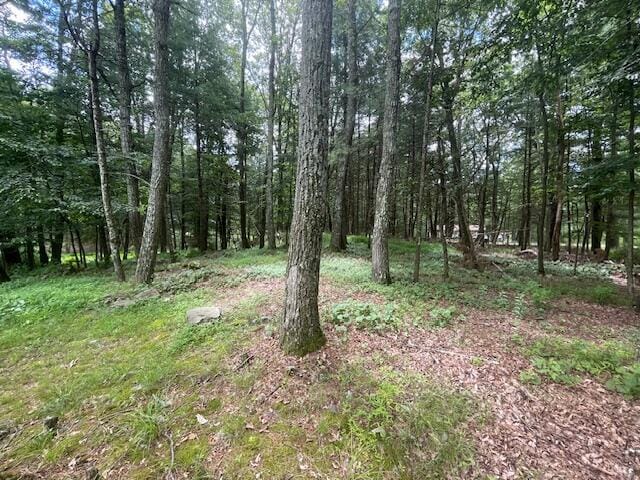 107 Cottonwood Ln, Dingmans Ferry, PA 18328 - view of wooded area