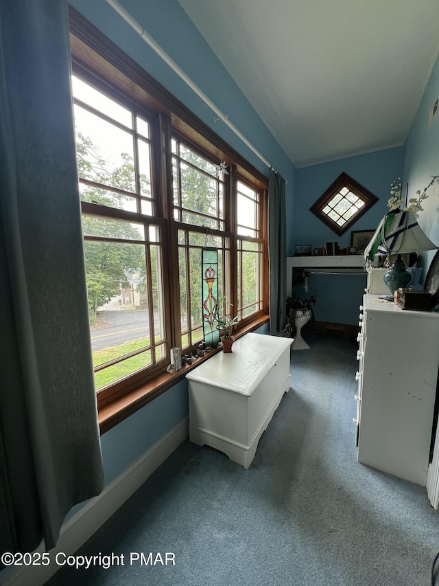 interior space featuring carpet and baseboards