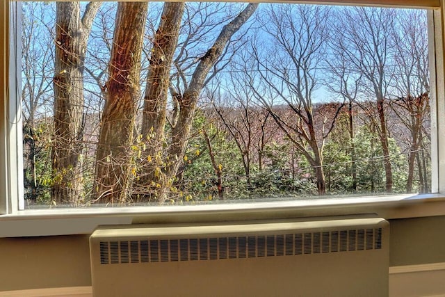 room details with radiator