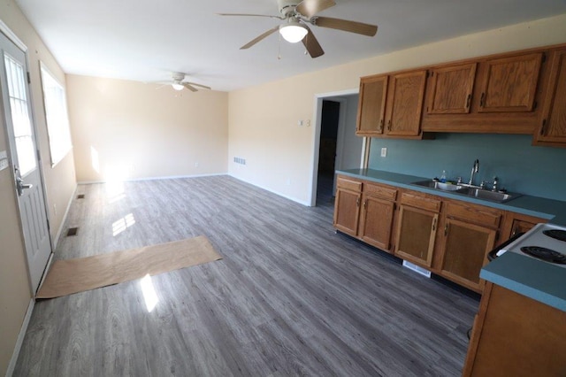kitchen with a sink, ceiling fan, wood finished floors, and brown cabinets