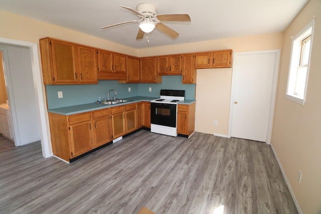 kitchen with a ceiling fan, range with electric stovetop, brown cabinets, a sink, and light wood finished floors
