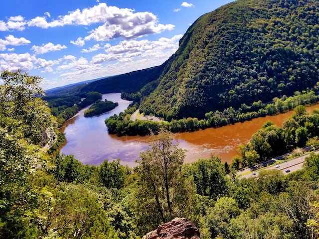 157 Seminole Trl, Tobyhanna, PA 18466 - view of mountain backdrop with a large body of water and a forest