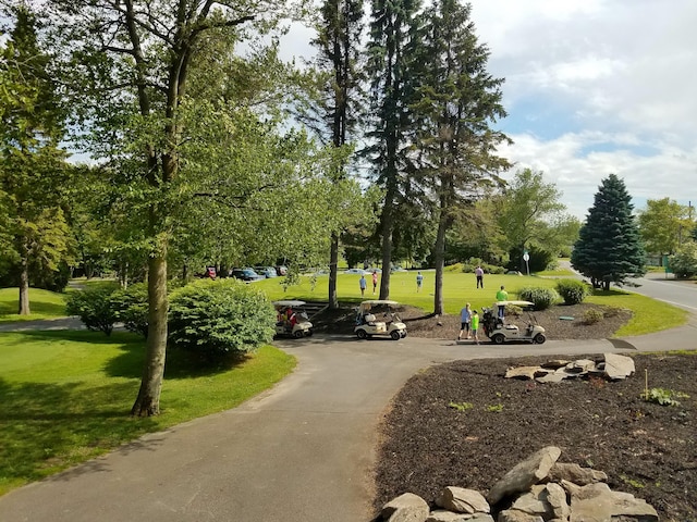 157 Seminole Trl, Tobyhanna, PA 18466 - view of community with a lawn, view of wooded area, and uncovered parking