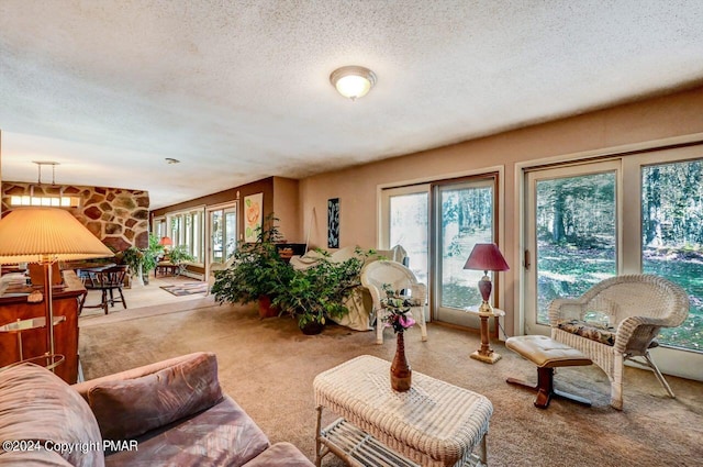 carpeted living area with a textured ceiling