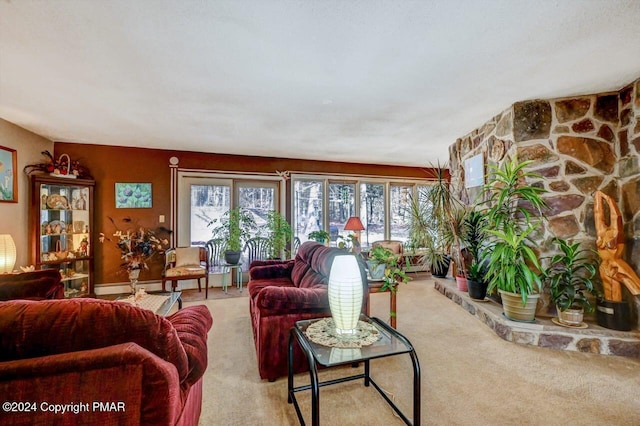 living area featuring carpet floors