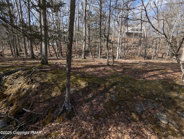 Listing photo 3 for LOT177 Decker Rd, Bushkill PA 18324