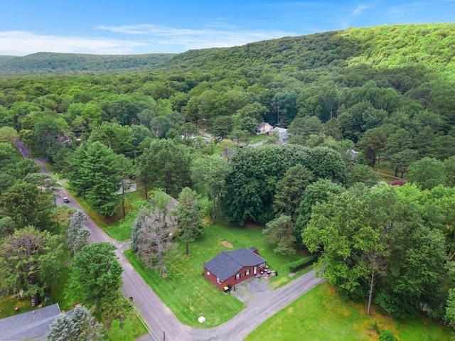 4421 Arrow Ln, Kunkletown, PA 18058 - photo 6