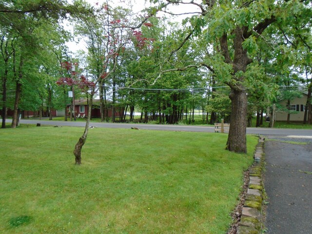 387 N Shore Dr, Albrightsville, PA 18210 - photo 38