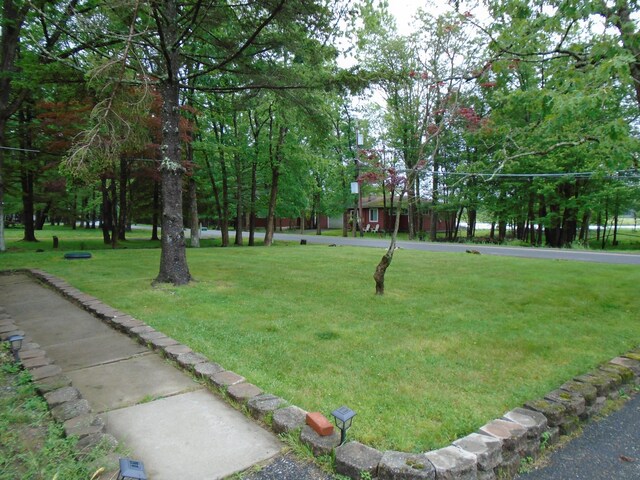 387 N Shore Dr, Albrightsville, PA 18210 - photo 37