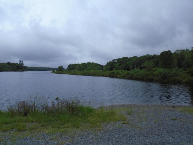 387 N Shore Dr, Albrightsville, PA 18210 - photo 42