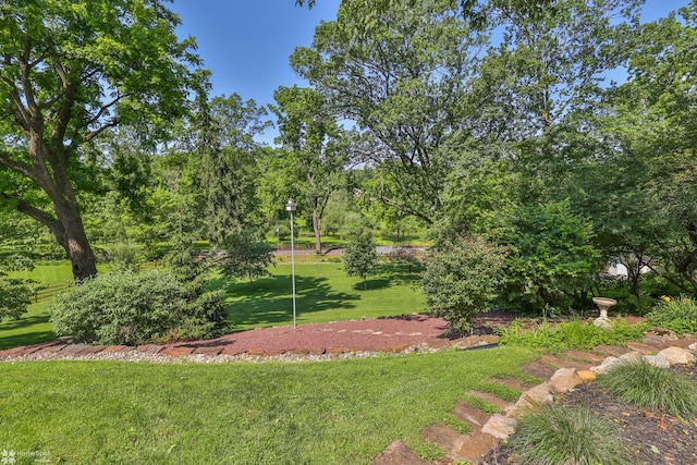 2711 Main St, Bethlehem, PA 18017 - view of grassy yard