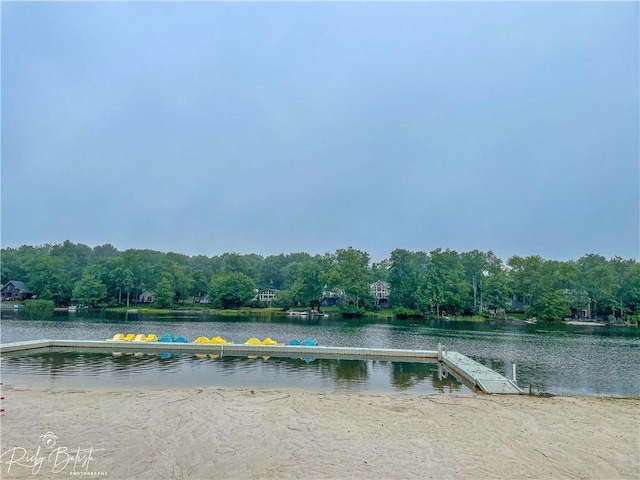 9379 Fairmount Way, Tobyhanna, PA 18466 - water view