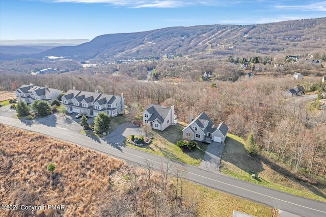 aerial view with a mountain view