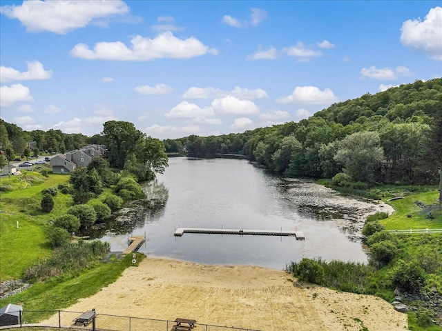 5015 Woodbridge Dr E, Bushkill, PA 18324 - water view with a boat ramp, a forest, and a floating dock