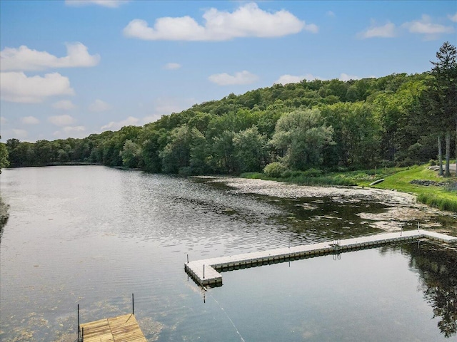 5015 Woodbridge Dr E, Bushkill, PA 18324 - dock with a wooded view and a water view