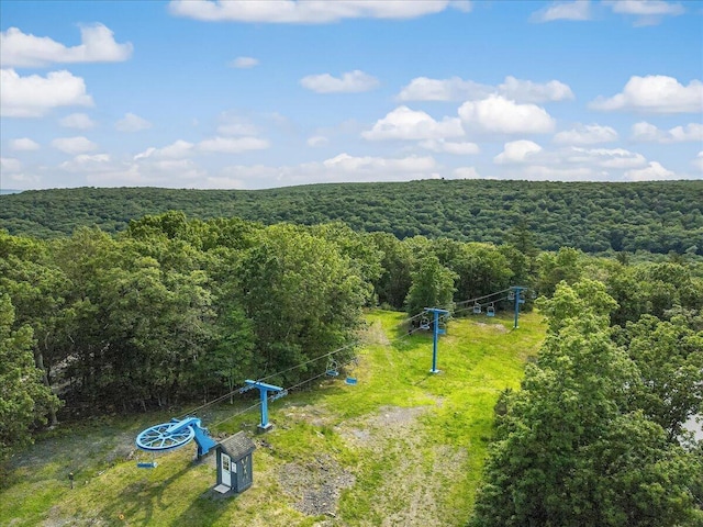 5015 Woodbridge Dr E, Bushkill, PA 18324 - bird's eye view of a forest