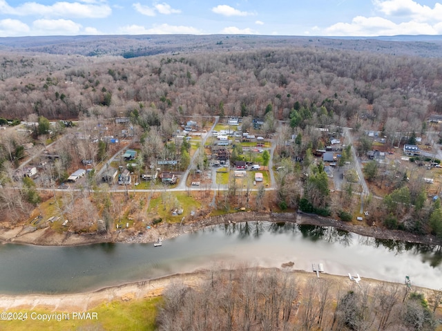 bird's eye view featuring a water view and a view of trees