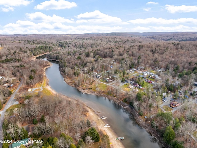 bird's eye view featuring a water view and a forest view