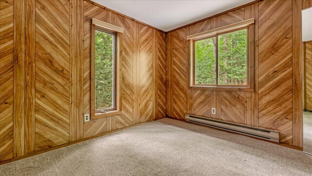 5913 NE Decker Rd NE, Bushkill, PA 18324 - carpeted spare room featuring a baseboard radiator, plenty of natural light, and wood walls