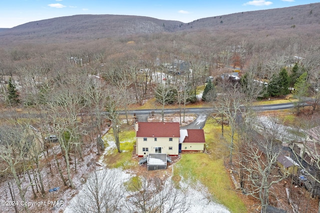 drone / aerial view with a mountain view