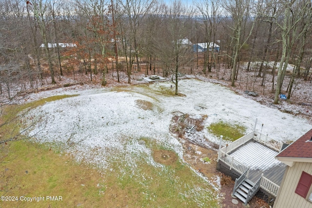 yard covered in snow with stairs