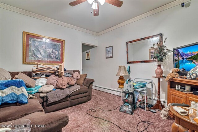 137 W Parker St, Scranton, PA 18508 - photo 9
