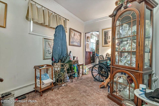 137 W Parker St, Scranton, PA 18508 - photo 8