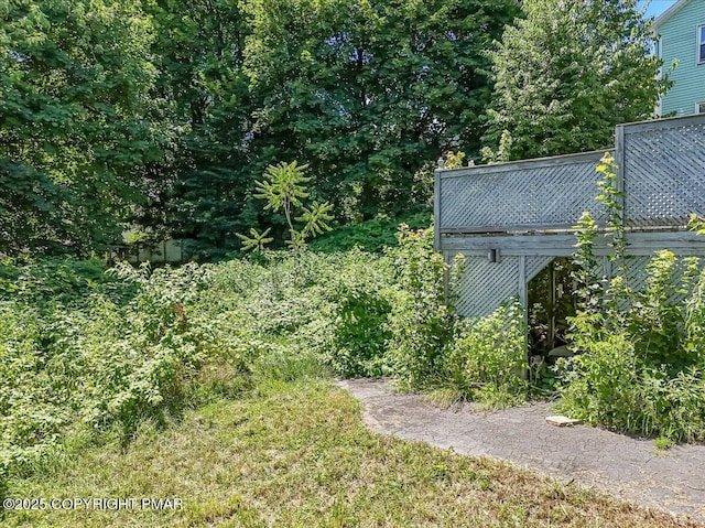 137 W Parker St, Scranton, PA 18508 - photo 34
