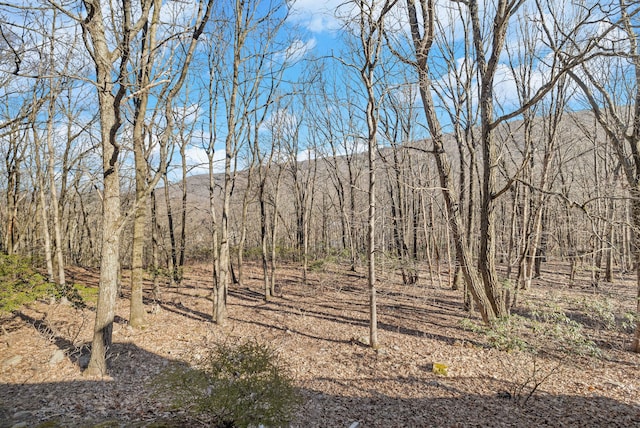426 Oak Ct, Tannersville, PA 18372 - photo 27