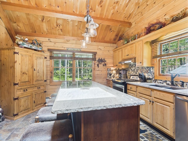 250 Robyn Ln, Pocono Lake, PA 18347 - photo 18