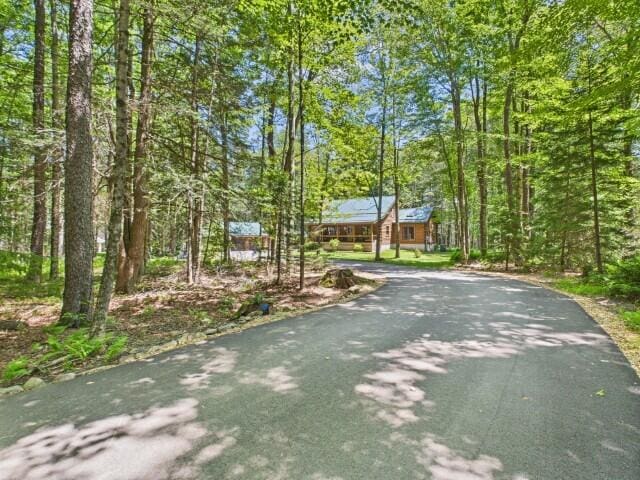 250 Robyn Ln, Pocono Lake, PA 18347 - photo 91