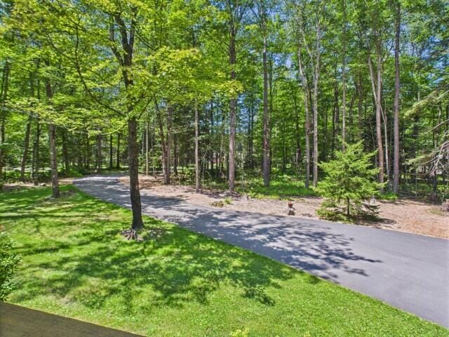 250 Robyn Ln, Pocono Lake, PA 18347 - photo 86