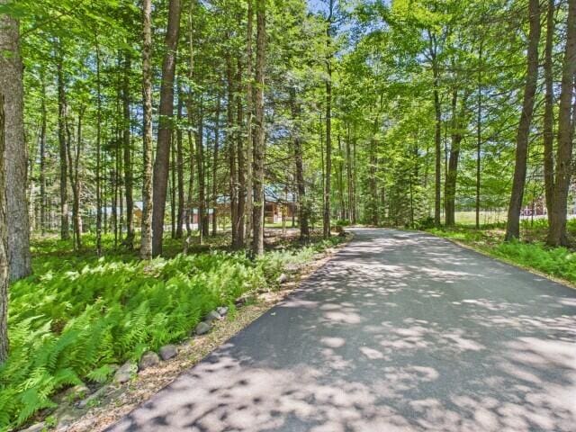 250 Robyn Ln, Pocono Lake, PA 18347 - photo 89