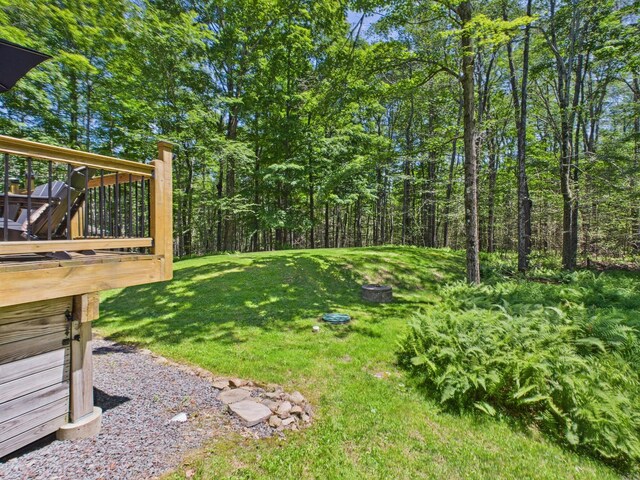 250 Robyn Ln, Pocono Lake, PA 18347 - photo 100