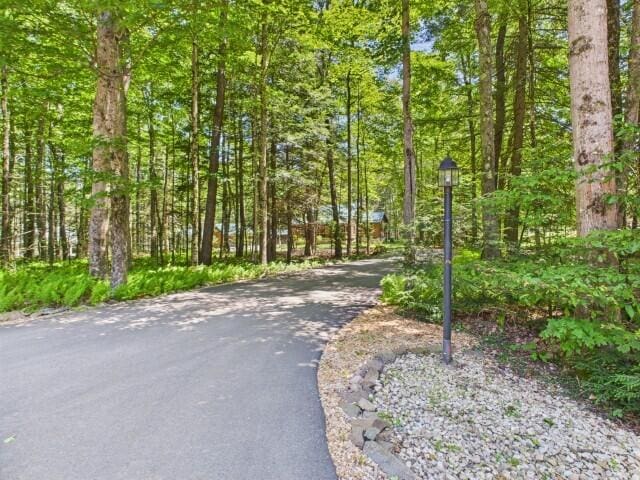 250 Robyn Ln, Pocono Lake, PA 18347 - photo 90