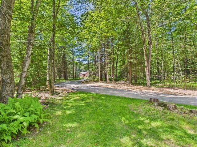 250 Robyn Ln, Pocono Lake, PA 18347 - photo 105