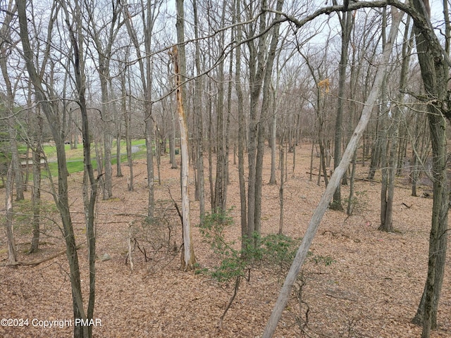 view of local wilderness