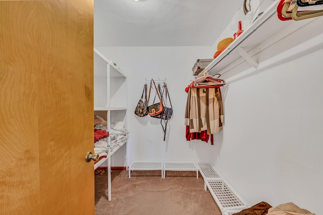 spacious closet featuring carpet