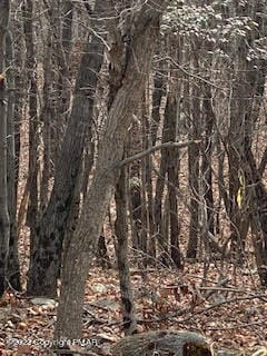 6003 Scenic Dr, Albrightsville, PA 18210